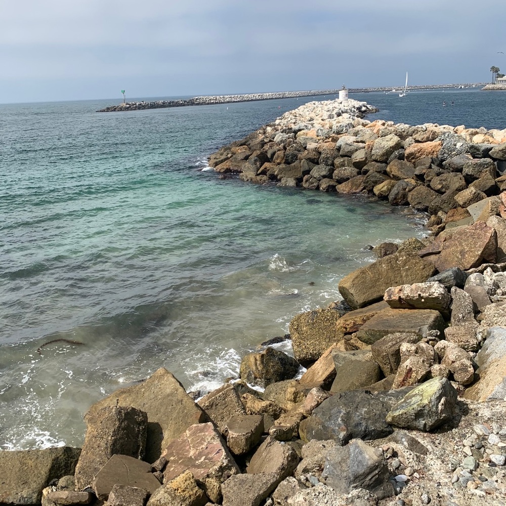 Meet your Posher, Regina